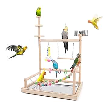 中小型. オウム遊園地 訓練する. 着地棚のおもちゃ.9 Amazon | 鳥 遊び場 インコ おもちゃ オウム 遊園地 小鳥 競技場